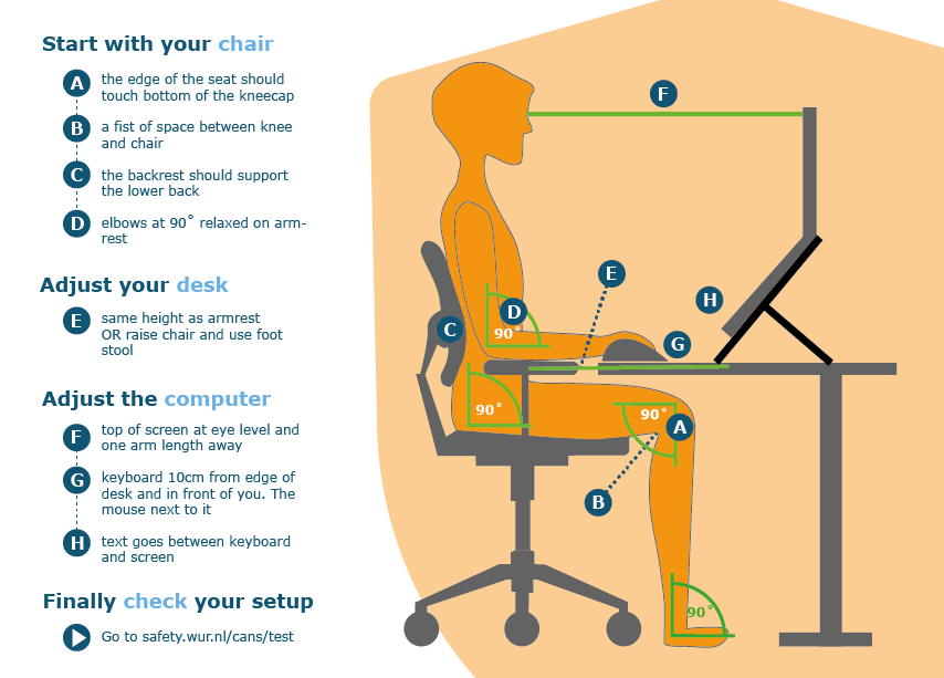 Infographic on workstation setup - see description below