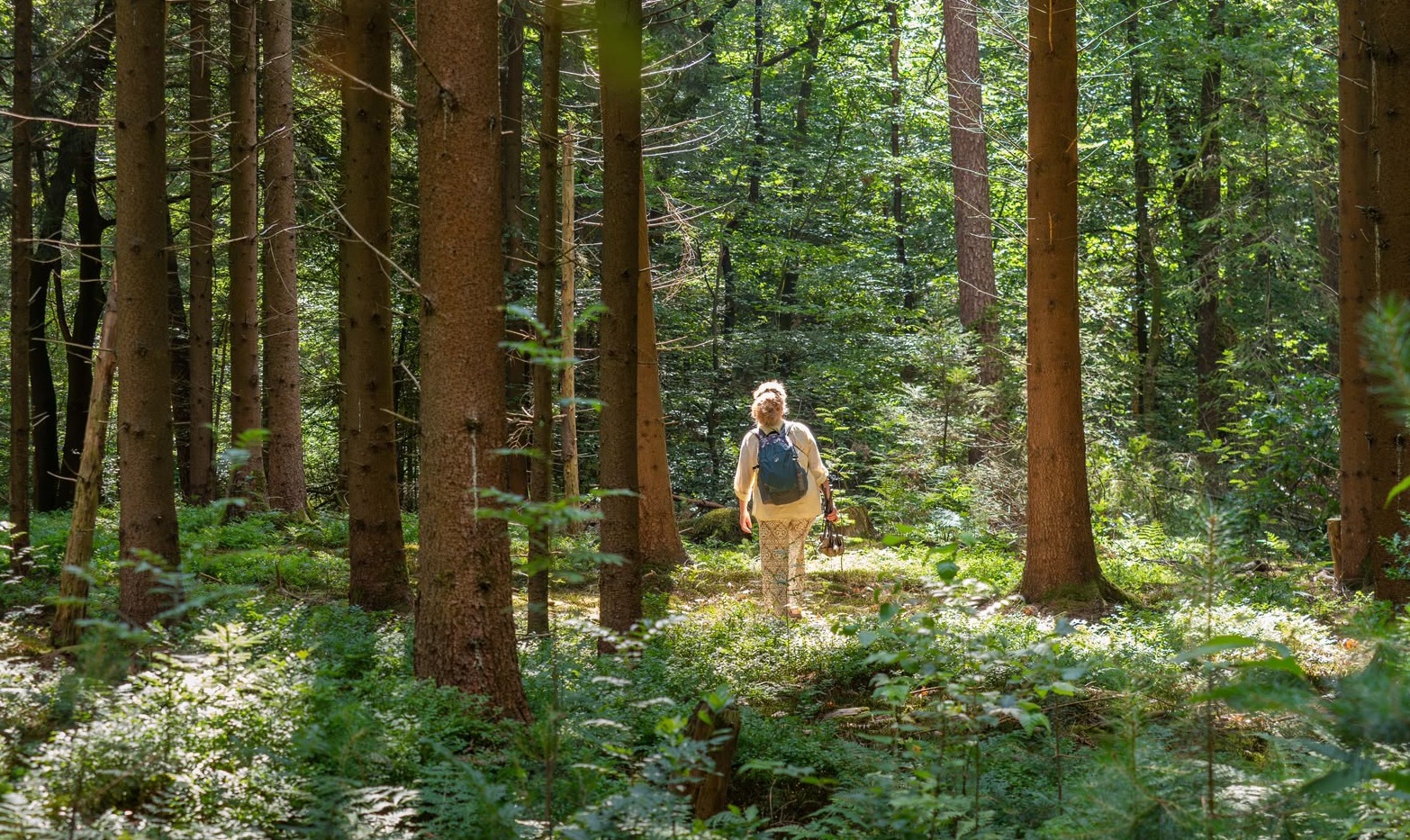 Woman in forest - peaceful enjoying the sun