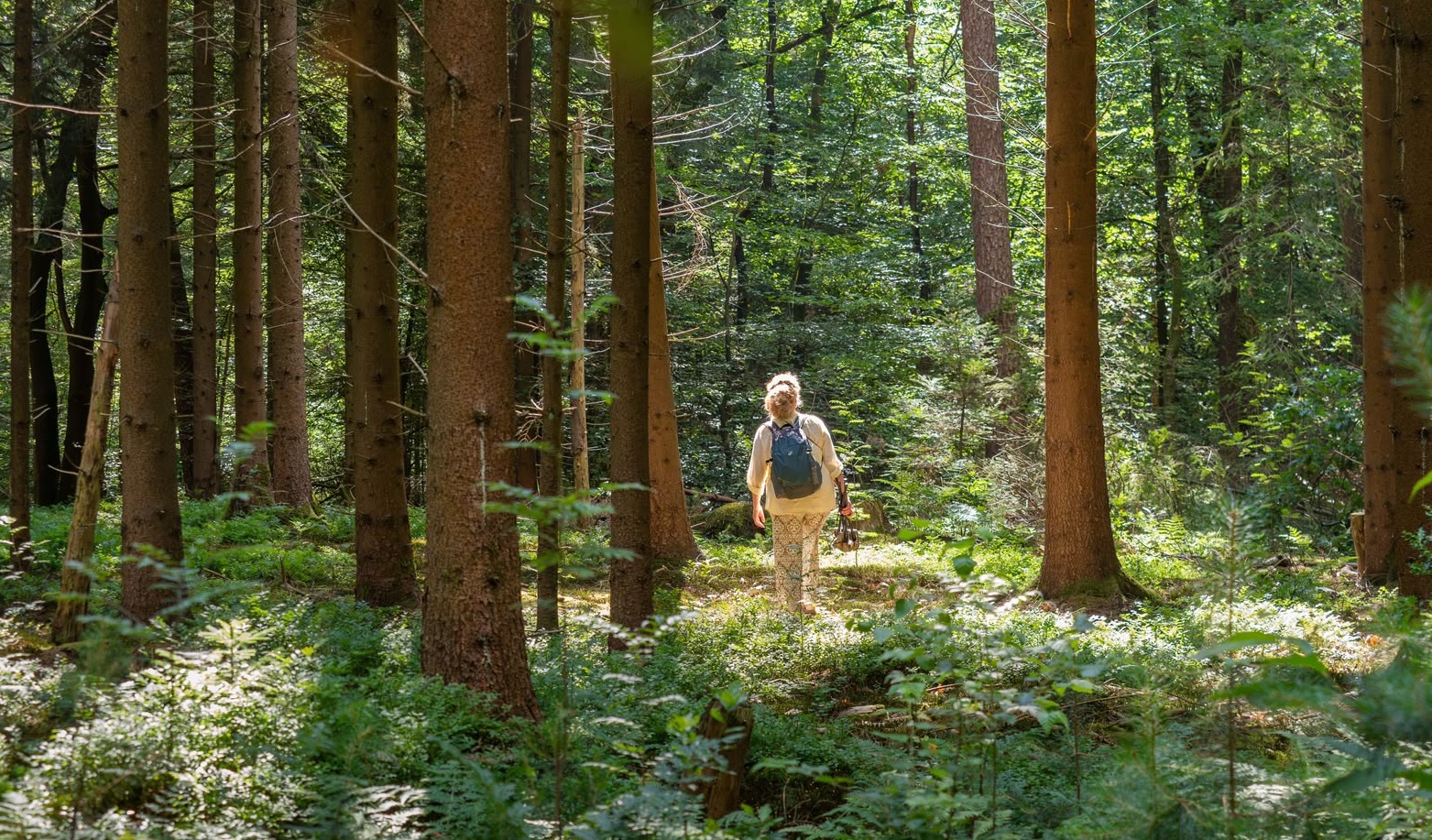 young woman hugging a big oak tree